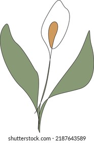 Peace lily vector with soft pastel colors