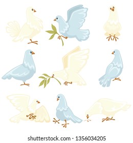 Peace symbol white dove or pigeon isolated animal vector olive branch flying bird wings flight plumage plant twig purity symbolic creature with beak and claws clear plumage wedding ritual