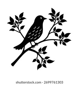 Pássaro Pacífico Descansando no galho da árvore, Pássaro pequeno empoleirado na luz da manhã, Pássaro colorido sentado no membro da árvore, Pássaro selvagem Descansando entre as folhas verdes