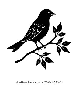 Pássaro Pacífico Descansando no galho da árvore, Pássaro pequeno empoleirado na luz da manhã, Pássaro colorido sentado no membro da árvore, Pássaro selvagem Descansando entre as folhas verdes