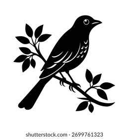 Pássaro Pacífico Descansando no galho da árvore, Pássaro pequeno empoleirado na luz da manhã, Pássaro colorido sentado no membro da árvore, Pássaro selvagem Descansando entre as folhas verdes