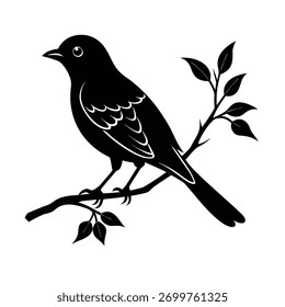 Pássaro Pacífico Descansando no galho da árvore, Pássaro pequeno empoleirado na luz da manhã, Pássaro colorido sentado no membro da árvore, Pássaro selvagem Descansando entre as folhas verdes