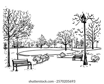 peaceful park with benches lamp and trees hand-drawn illustration