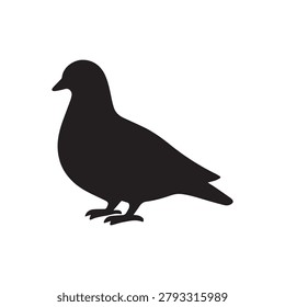 Peaceful pigeon vector silhouette isolated on white background common city bird standing on ground.