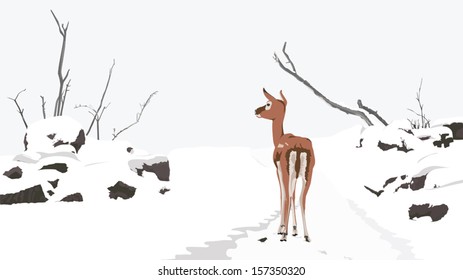 Peaceful Winter Landscape