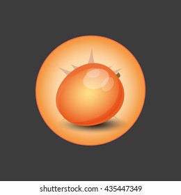 peach, apricot icon