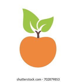 peach or apricot icon image