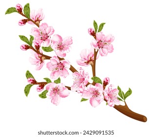 Peach blossom branch. Spring pink flowers. Stock vector illustration on a white background.