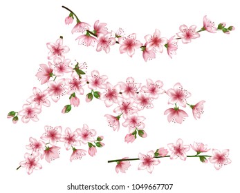 Peach blossom branches collection vector illustration. Blooming twigs isolated, springtime tree flower blossoms seasonal design. Decorative spring flowering trees branches vector set.