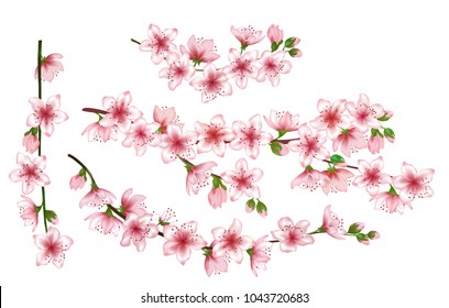 Peach blossom branches set vector illustration. Blooming twigs isolated, springtime tree flower blossoms seasonal design. Awesome spring flowering trees branches vector collection.