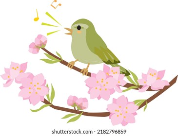 Peach blossom and bush warbler.