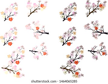 Peach blossom flower set for printing or sticker on isolate background.Sakura vector on white background.