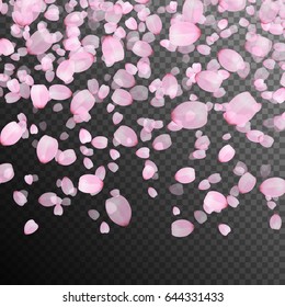 Peach blossom vector falling on a transparent background. Celebratory background with pink flower petals.