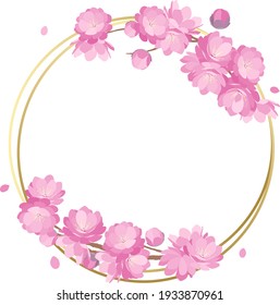 Primavera rosa de las flores de las duraznos