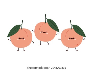 Peach cartoon vector. Doodle peach with leaves icon. Peach fruit isolated on white background. Farm, natural food, fresh fruits.