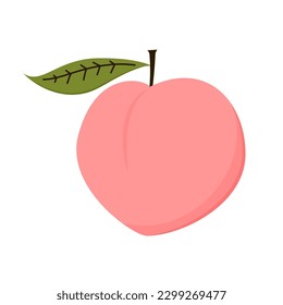 Peach cartoon vector. Doodle peach with leaves icon. Peach fruit in shape of heart isolated on white background. Farm, natural food, fresh fruits.