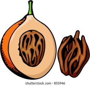 Peach. Check my portfolio for many more images of this series.