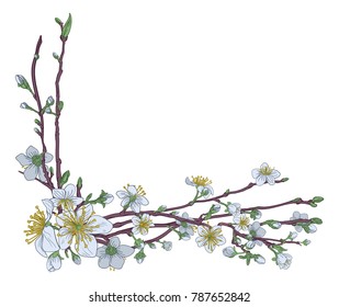 Peach or cherry blossom flowers tree abstract background corner design pattern. Japanese or Chinese style spring floral artwork.