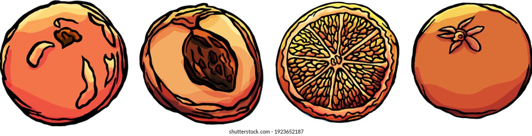 Peach and citrus set, fruit, vector fruits, nature, wild, garden, greengrocery, isolated, white, cartoon style, summer, eat, eating, shop, apricot, magazine, holidays, meal, food, children, kids, cut