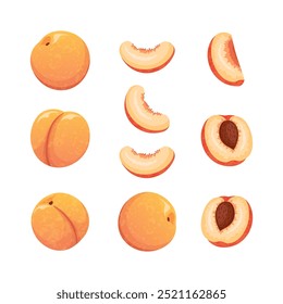 Peach clip art set. Whole peach, half, slice.