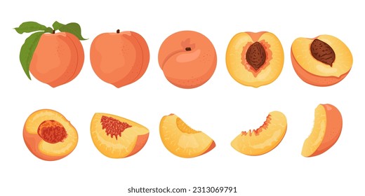 Peach. Colección de rodajas de melocotón y frutas enteras. Almidón vectorial plano de diferentes lados.