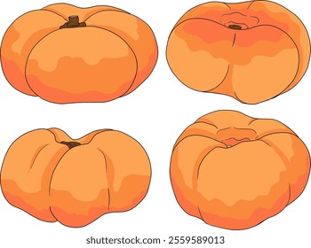 Peach colored vector. Apricot illustrations in hand drawn doodle style. Whole peaches, sliced peaches, slices, fruit on a branch, leaves.	