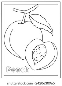 Peach coloring page design in hand drawn vector 