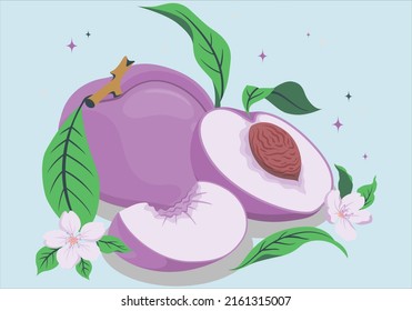 Colocar desde diferentes direcciones. Ilustración vectorial en un estilo plano. Todo, medio y durazno con hueso. Melocotones verdes reales maduros, mitad y trozos de detalles altos. fácil de cambiar de color