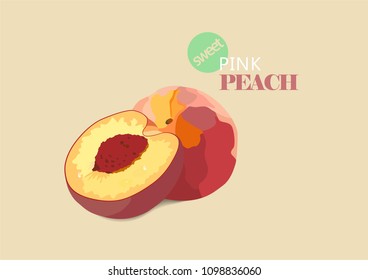 Peach drawing vector