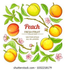 peach elements vector set