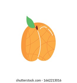 peach exotic fruit flat style vector illustration design