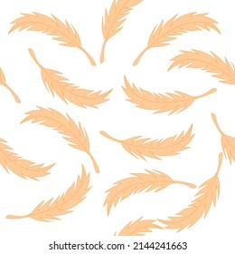 Peach feather pattern on white background
