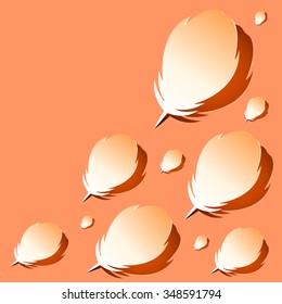 Peach feathers on peach background.