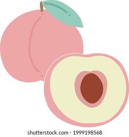  icono del vector de ilustración plana de peto