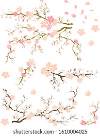 Peach flower and cherry blossom set.Sakura vector set.isolate and golden flower.Free hand Sakura flower vector set,Plum blossom illustration for printing on background.flower design for tattoo idea.