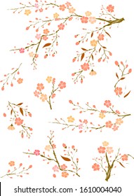 Peach flower and cherry blossom set.Sakura vector set.isolate and golden flower.Free hand Sakura flower vector set,plum blossom illustration for printing on background.