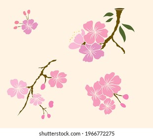 Peach Flower And Cherry Blossom Set.Sakura Vector Set.isolate And Golden Flower.Free Hand Sakura Flower Vector Set,Apricot And Plum Blossom Set On Background.