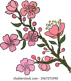 Peach flower and cherry blossom set.Sakura vector set.isolate and golden flower.Free hand Sakura flower vector set,Apricot and plum blossom set on background.