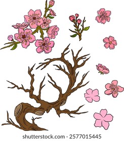 Peach flower and cherry blossom set.Sakura vector set.isolate and golden flower.Free hand Sakura flower vector set, Elements for printing on paper or curtain,Fabric pattern and shirt.