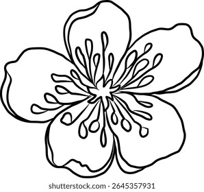 Peach flower and cherry blossom set.Sakura vector set.isolate and golden flower.Free hand Sakura flower vector set, Elements for printing on paper or curtain,Fabric pattern and shirt.