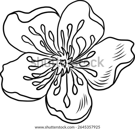 Peach flower and cherry blossom set.Sakura vector set.isolate and golden flower.Free hand Sakura flower vector set, Elements for printing on paper or curtain,Fabric pattern and shirt.