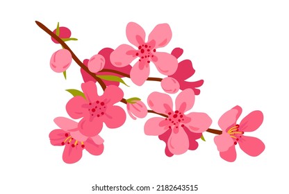 Peach flowers vector illustration. Cartoon isolated pink blossom and green leaves on branch, spring and summer floral arrangement with aromatic soft petals, blooming peach tree in park or garden