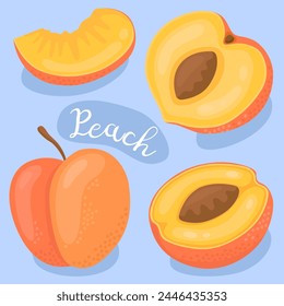 Peach. Fresh peach, peach half, slices and seed. Summer fruit. Healthy and organic food.	