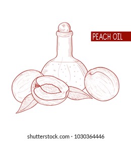 Peach. Fruit, casting, bottle of oil. Sketch. Monochrome. On a white background.