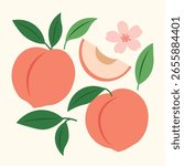 Peach Fruit Clipart Vector Set with Leaves and Flowers in Flat Vintage Style for Summer Poster, Organic Food, and Kitchen Illustration Design
