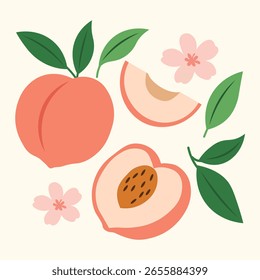 Peach Fruit Clipart Vector Set with Leaves and Flowers in Flat Vintage Style for Summer Poster, Organic Food, and Kitchen Illustration Design