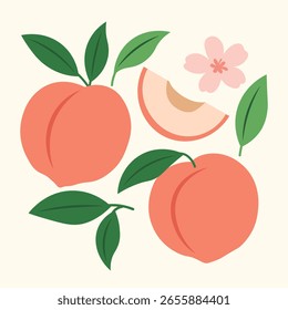 Conjunto de Vector Clipart de frutas de melocotón con hojas y flores en estilo plano Antiguas para cartel de verano, comida orgánica y diseño de ilustración de cocina