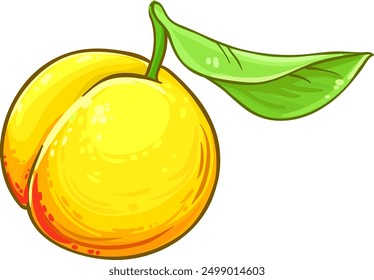 Peach Fruit Colored Detailed Illustration.