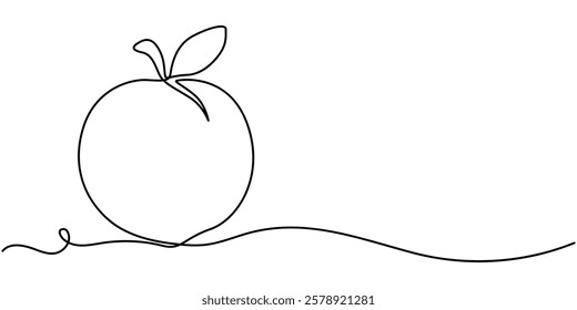 Peach fruit in continuous line art drawing style. Simple black sketch made of one line isolated on white background, Apricot vector illustration. One line drawing art illustration.