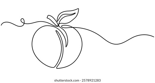 Peach fruit in continuous line art drawing style. Simple black sketch made of one line isolated on white background, Apricot vector illustration. One line drawing art illustration.